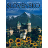 Slovensko v treťom tisícročí