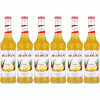 6 x Barmanský sirup MONIN Pineapple ANANAS 700 ml
