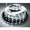 Brolux Led pásik 1m 12V SMD 5630 60LED/m 15W/m 6000K Studená biela IP20, BW005648 Zvoľte variantu: Predaj na 5m rolky