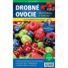 Drobné ovocie: pestovanie a odrody