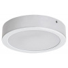 Rabalux SHAUN2 LED stropné svietidlo 71205