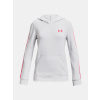 Under Armour Rival Terry Hoodie J 1361197-014 - grey S