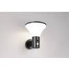 TRIO Reality R24676132 GORDA solárne nástenné svietidlo so senzorom SMD LED 3,5W/500lm 4000K IP44 čierna matná, hybrid