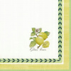 Veľké obrúsky 33x33 cm FRENCH GARDEN V&B, IHR