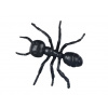MFP 1042556 Mravec plast 5cm 12ks čierny