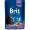 Brit Premium Cat kapsa with Cod Fish 100 g