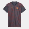 Puma Manchester City Fc Training Jersey Grey M