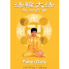 DVD Falun Dafa