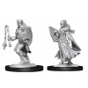 D&D Nolzur's Marvelous Miniatures: Kalashtar Cleric Female