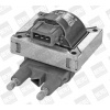 BorgWarner (BERU) Zapalovací cívka ZS319