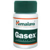 Himalaya Herbals Himalaya Gasex, podpora trávenia, 100 tabliet Výživový doplnok