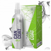 Gyeon Q2 CanCoat Evo 200 ml Keramická ochranná vrstva na lakovanie v spreji