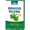 Vitar Revital Ginkgo Biloba Forte 60 kapsúl