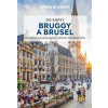 Bruggy a Brusel do kapsy - Lonely Planet