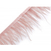 Prámik - marabu perie 5-10 cm pudrová 1m