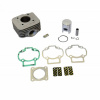 ATHENA Sady valca ATHENA 071800 Standard Bore (with Head) d 40 mm, 50 cc