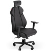 Meta BK Gaming chair black ENDORFY (Meta BK) Meta BK Gaming chair black ENDORFY (Meta BK)
