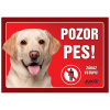 Juko Plastová tabuľa Pozor Pes Labrador svetlý 21 x 14,7 cm