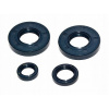 Tesniace simeringy motora MZ ES 175/2 250/2 TROPHY IFA Nemecko