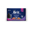 Brit Premium Cat Delicate Fillets in Gravy Cod fish, Salmon and Trout 4 x 100 g