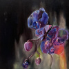 Why Bonnie, WISH ON THE BONE, CD