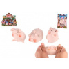 Teddies Antistresový silikón pre mačky Pig 6 cm