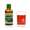 Rhodiola (rozchodnice) - bylinné kapky (tinktura) 50 ml - doplněk stravy