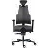 Zdravotní židle Therapia Body+ HX51/KX99 COAL