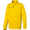 Puma Liga Training Jacket 655688