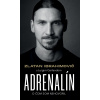 Ibrahimovič Zlatan - Garlando Luigi Zlatan Ibrahimovič – Adrenalín – O čom som nehovoril