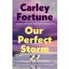 Our Perfect Storm - Carley Fortune, Penguin Books Ltd