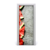 Fototapeta na dvere do domu samolepiace melón 75x205