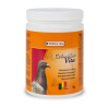 VERSELE LAGA Holuby VITA - vitamíny a minerály 1kg