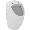 Ideal Standard Urinály - Pisoár Connect, zadný prívod vody, biela E567601