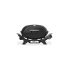Weber Q2100N