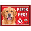 Juko Plastová tabuľa Pozor Pes Retriever 21 x 14,7 cm