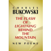 Flash of Lightning Behind the Mountain