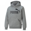 Puma Logo Hoodie Junior Boys Grey 5-6 rokov