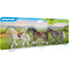 Playmobil 70683 Tri kone