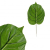 Autronic List umelý - monstera, farba zelená, cena za 1 ks (zväzok 12 ks) KU4217