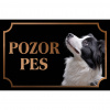 Border kólia - Kovová tabuľka POZOR PES