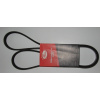GATES 6PK1153 Klinový remeň VW GOLF/PASSAT/SHARAN/TOLEDO - 037260849C