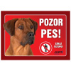 Juko Plastová tabuľa Pozor Pes Rhodéský Ridgeback 21 x 14,7 cm