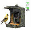 EVOLVEO EVOLVEO StrongVision BirdFeeder - Chytré krmítko pro ptáky s kamerou a solárním panelem