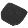 filter pre 1400002 Dirt Devil Dusty 360
