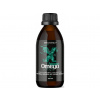 BrainMax Vegan Omega 3, 2850 mg DHA & EPA 275 ml