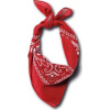 Stars & Stripes Šatka Bandana Stars & Stripes, red