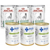 Royal Canin Veterinary Diet Dog Diabetic 3x410 g & ENZO VET Dieta di recupero durante il periodo di convalescenza per cani 3x400g