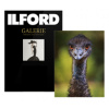 ILFORD GALERIE Textured Cotton Sprite 280 (GTCSJ), 10 x 15 cm, 50 listů - GA6077102152