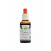 Salvia Paradise Vilcacora Uňa de Gato AF tinktura 50 ml